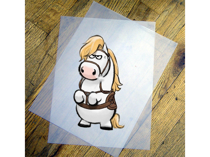 hinh in ao pet con ngua 2026